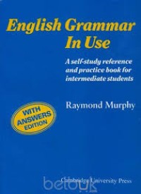 Image of English Grammar In Use